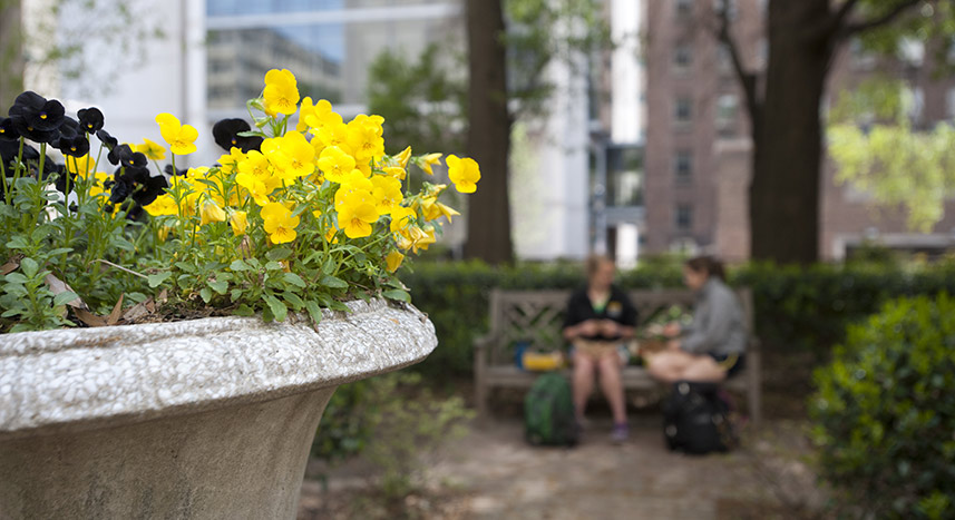 lunch in the garden behind Sanger Hall